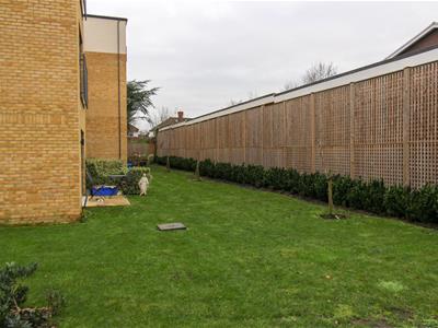 Picture 8